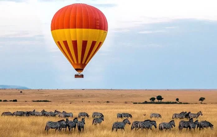 Northern Kenya: Adventure, Culture & Wildlife photo 6