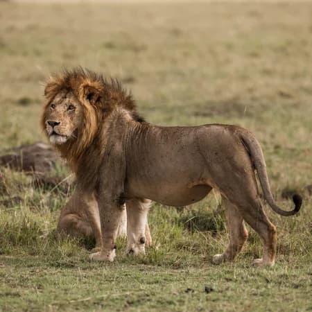 3 Day Tsavo East & Amboseli Safari photo 8