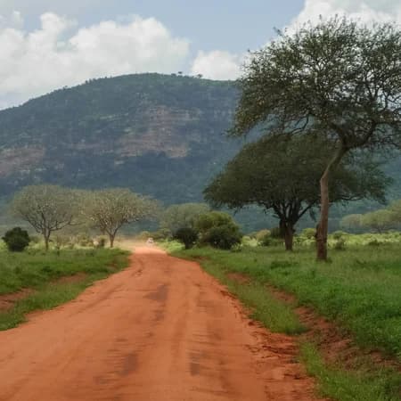 3 Day Tsavo East & Tsavo West Safari from Watamu photo 3