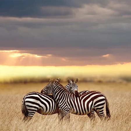 3 Day Tsavo East & Tsavo West Safari from Watamu photo 4