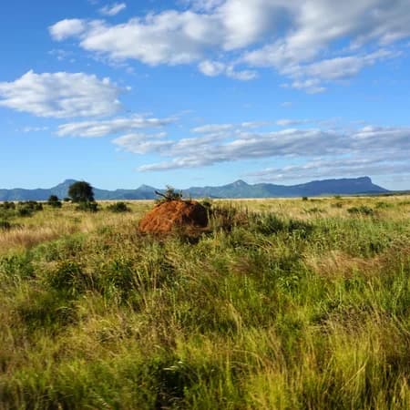 3 Day Tsavo East & Tsavo West Safari from Watamu